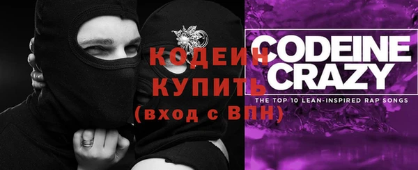 крисы Мегион