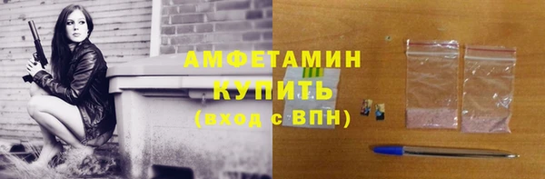 крисы Мегион