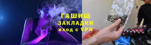 крисы Мегион