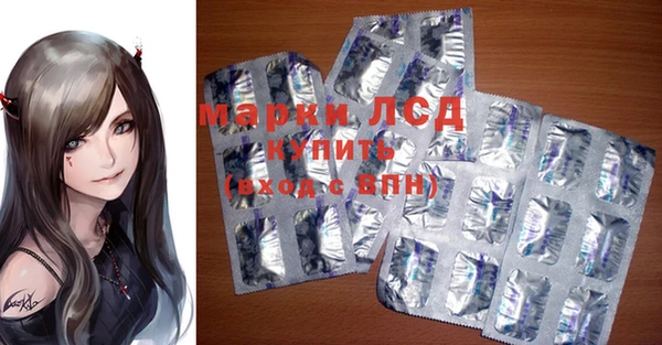 крисы Мегион