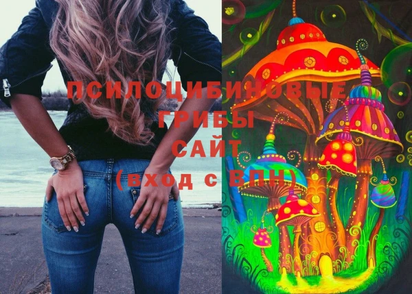 ешки Михайлов