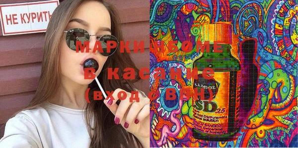 крисы Мегион