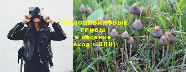 ешки Михайлов