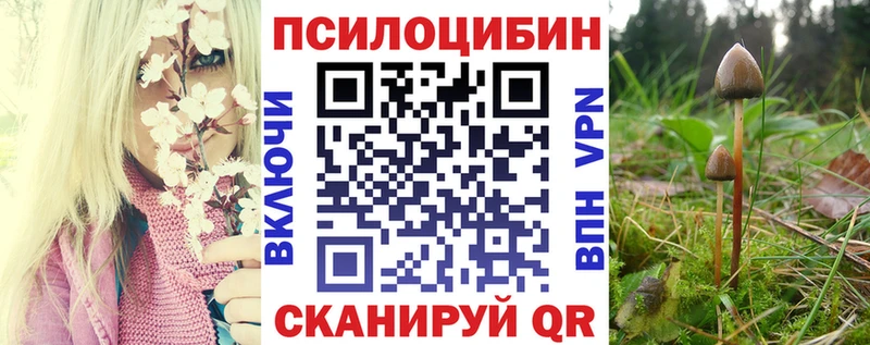 Псилоцибиновые грибы Magic Shrooms  ссылка на мегу ONION  Усть-Катав 